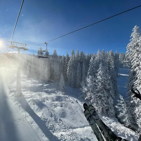 Woodside Story Apartament Kopaonik