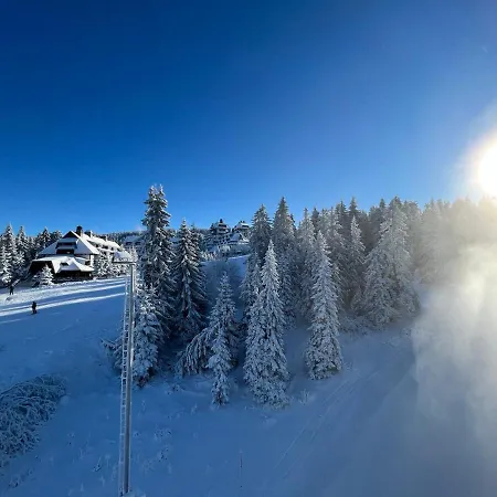 Apartament Woodside Story *